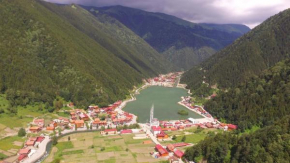 Отель Zeren Apart  Uzungöl